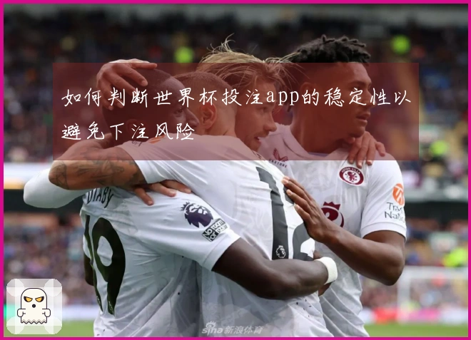 如何判断世界杯投注app的稳定性以避免下注风险