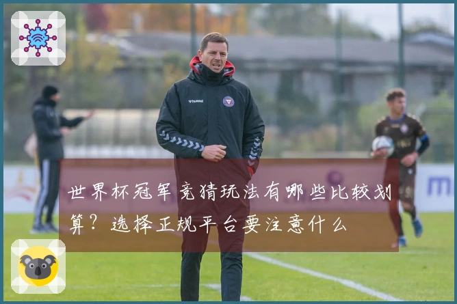 世界杯冠军竞猜玩法有哪些比较划算？选择正规平台要注意什么