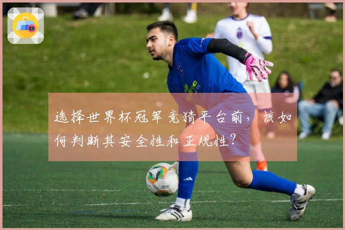 选择世界杯冠军竞猜平台前，该如何判断其安全性和正规性？