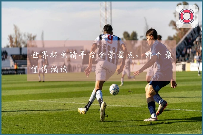 世界杯竞猜平台全景盘点，哪个最值得试试
