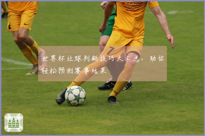 世界杯让球判断技巧大汇总，助你轻松预测赛事结果