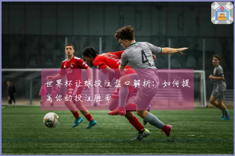 世界杯让球投注盘口解析:如何提高你的投注胜率
