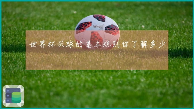 世界杯买球的基本规则你了解多少