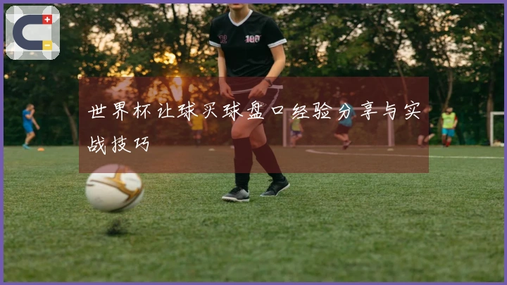 世界杯让球买球盘口经验分享与实战技巧