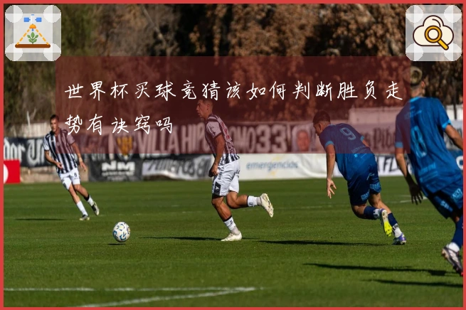 世界杯买球竞猜该如何判断胜负走势有诀窍吗