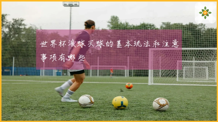 世界杯滚球买球的基本玩法和注意事项有哪些