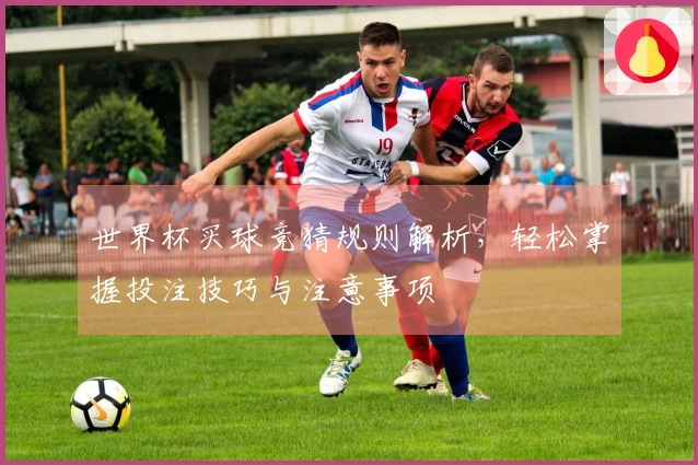 世界杯买球竞猜规则解析，轻松掌握投注技巧与注意事项