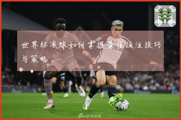 世界杯滚球如何掌握最佳投注技巧与策略