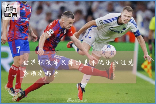 世界杯滚球买球的基本玩法和注意事项有哪些