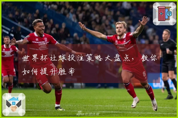 世界杯让球投注策略大盘点，教你如何提升胜率