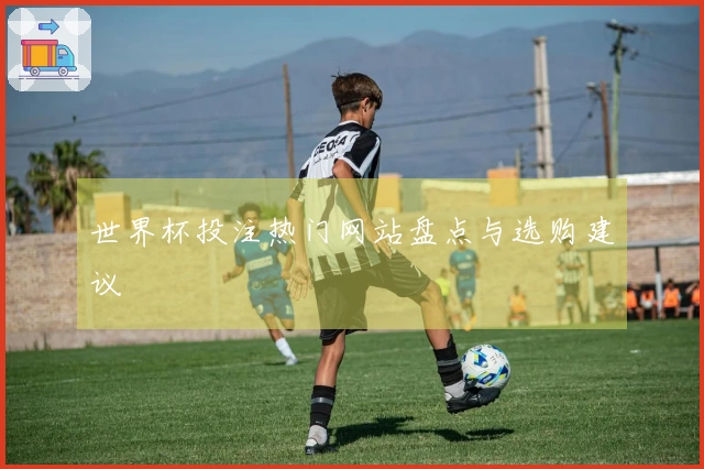 世界杯投注热门网站盘点与选购建议